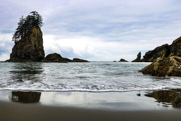 Wall Mural - Second Beach in Olympic National Park, Washington, USA.