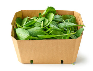 Poster - fresh green spinach leaves