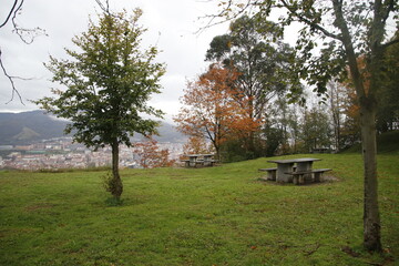 Wall Mural - Autumn colors in an urban park