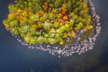 Wall Mural - beautiful travel autumn background aerial look down photograph of a portion of an island in a lake i
