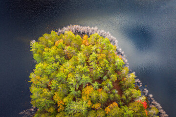 Wall Mural - beautiful travel autumn background aerial look down photograph of a portion of an island in a lake i