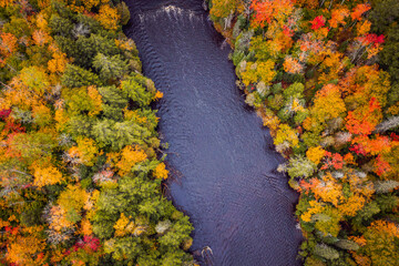 Wall Mural - beautiful autumn look down aerial of the tahquamenon river lined with evergreens and fall colored de