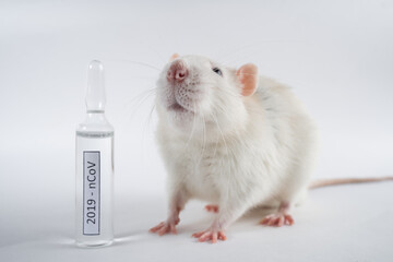 Wall Mural - Mouse and 2019-nCov vaccine on a white background