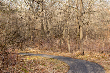 Wall Mural - Idyllic autumn landscape of a wooded forest area with bare trees and leaf covered ground, with a winding paved walking trail