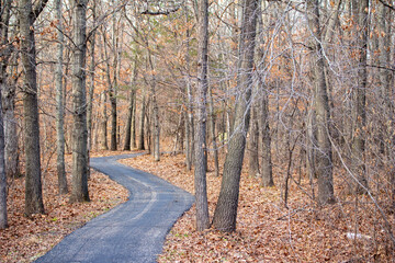 Wall Mural - Idyllic autumn landscape of a wooded forest area with bare trees and leaf covered ground, with a winding paved walking trail