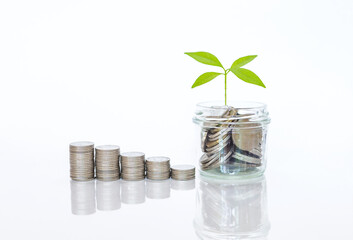 Coin in clear  cup with young green plant and stack of coin on white background, banking and financial concept, successful and growing business 