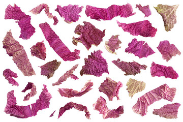 Wall Mural - Violet chinese cabbage collection on white