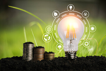 Energy saving light bulb and tree growing on stacks of coins on nature background. Saving, accounting and financial concept.