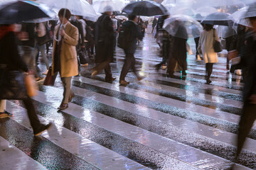 Wall Mural - Business people crossing street on rainy night, Tokyo, Japan　雨の夜 交差点を行き交うビジネスマン 東京