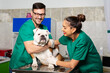 © zorandim75 - Veterinarian and dog at veterinary clinic.