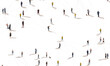 © master1305 - Aerial view of crowd people connected by lines, social media and communication concept. Top view of men and women isolated on white background with shadows. Staying online, internet, technologies.