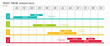 Project Timeline Infographics, 12 months timeframe and milestones