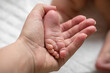 © Елизавета Шишова - In the mother's hand is the leg of a newborn baby. Close up