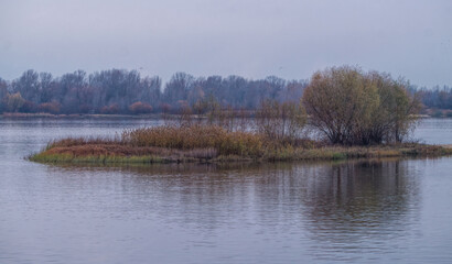 Wall Mural -  Island on the river in winter. Cold sunrise