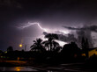 Lightning over palm trees at night