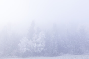 Naklejka na meble Raureif 