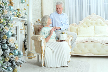 Poster - Happy senior couple preparing for Christmas at home