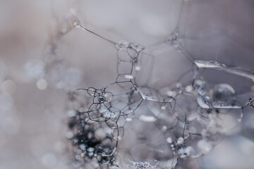 Poster - Selective focus shot of soap bubbles - perfect for backgrounds and wallpapers