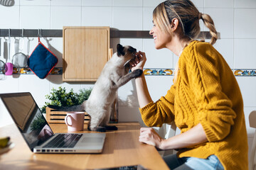 Wall Mural - Cute lovely cat playing on the table while her smiling owner working with laptop in the kitchen at home.