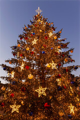 christmas tree on the night old town square, prague, czech republic
