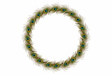 Peacock Feathers Frame In White  Background With Text Copy Space