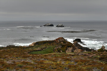 Canvas Print - Garrapata State Park - California