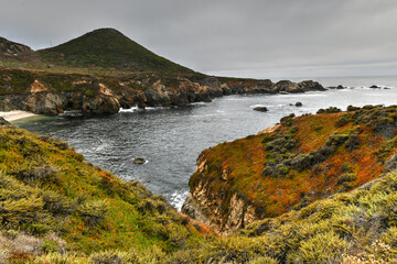 Poster - Garrapata State Park - California