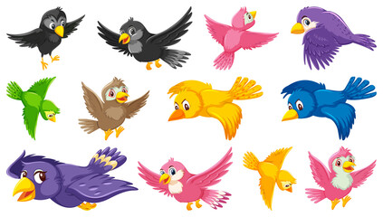 Wall Mural - Set of bird cartoon character