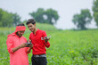 © PRASANNAPIX - Indian farmer and agronomist using drone at agriculture field