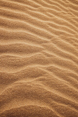  Sand on the beach of the Caspian Sea