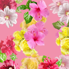 Fotomurales - Beautiful floral background of hibiscus, begonia and mallow. Isolated
