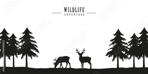 wildlife adventure deer in ...