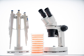 Poster - microscope, petri dishes and pipette stand by microbiological laboratory