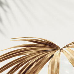 Poster - Golden palm leaves background design resource