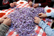 Italian saffron called Zafferano di Navelli in the province of L'Aquila in the Abruzzo region of central Italy on the table for processing and selection