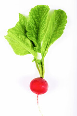 Fresh red radish isolated on white background.