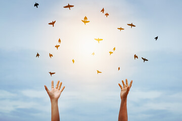 Wall Mural - Man raise open hand up and birds flying on sunset sky abstract background.