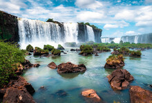 Waterfall In The Forest Iguazu Falls 