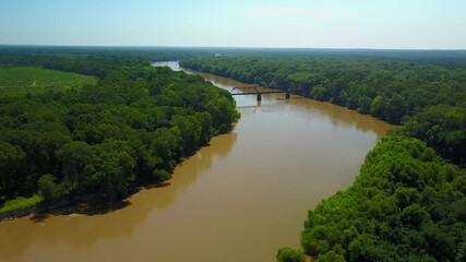 Wall Mural - Altamaha river in south Georgia where there is an abandoned train bridge 