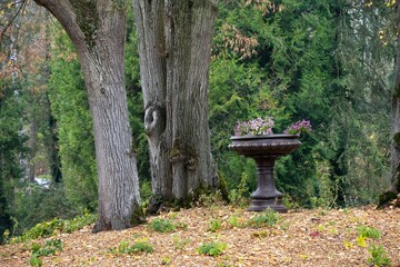 Canvas Print - Vasque fleurie dans un parc