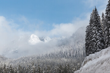 Poster - Stunning view of snow covered trees and mountains in Snoqualmie Pass, Washington