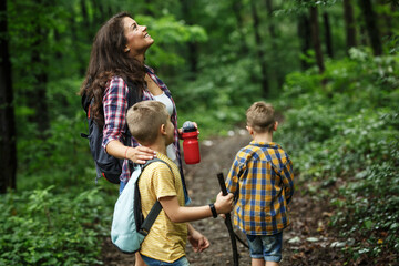 Wall Mural - Mother and her little sons hiking trough forest .They learning about animal and plant life.	
