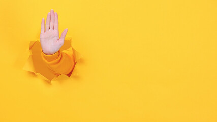 woman hand arm showing stop gesture with palm isolated through torn yellow wall background studio. c