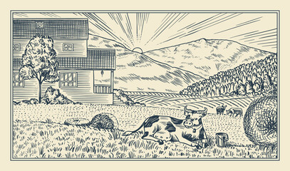 Leinwandbilder - Rural meadow. A village landscape with cows, hills and a farm. Sunny scenic country view. Hand drawn engraved sketch. Vintage rustic banner for wooden sign or badge or label.