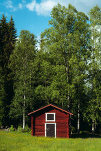 View Of Log Cabin In Forest