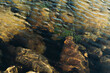 © Elias A. Gustafsson - View of ripples on water surface