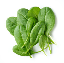 Poster - fresh green spinach leaves