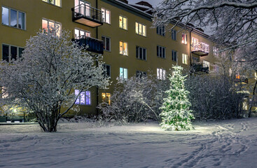 Wall Mural - Christmas Tree in Snow