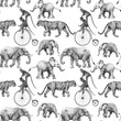 Beautiful stock seamless pattern with cute hand drawn safari giraffe elephant tiger monkey rhinoanimal pencil illustrations.