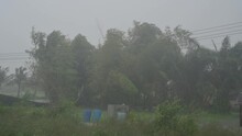 The Storm Is Hitting The Forest And Heavy Rain Is Falling In Thailand. Nakhon Si Thammarat